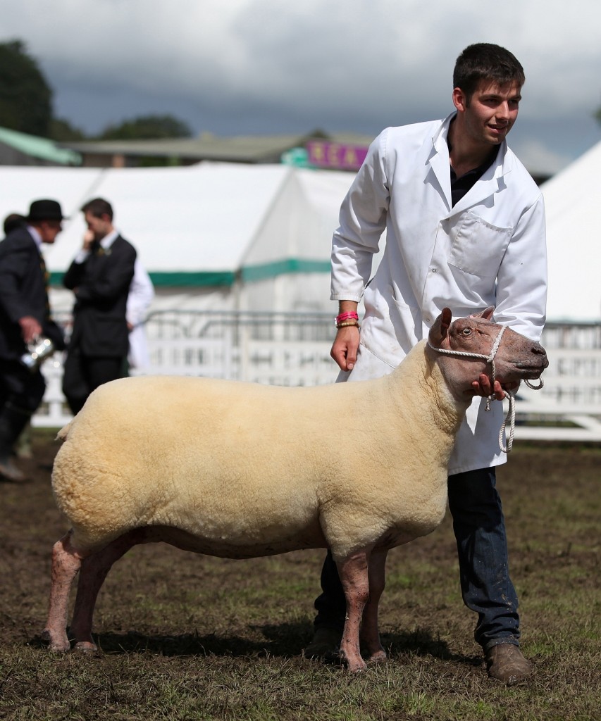 The Great Yorkshire Show 2013