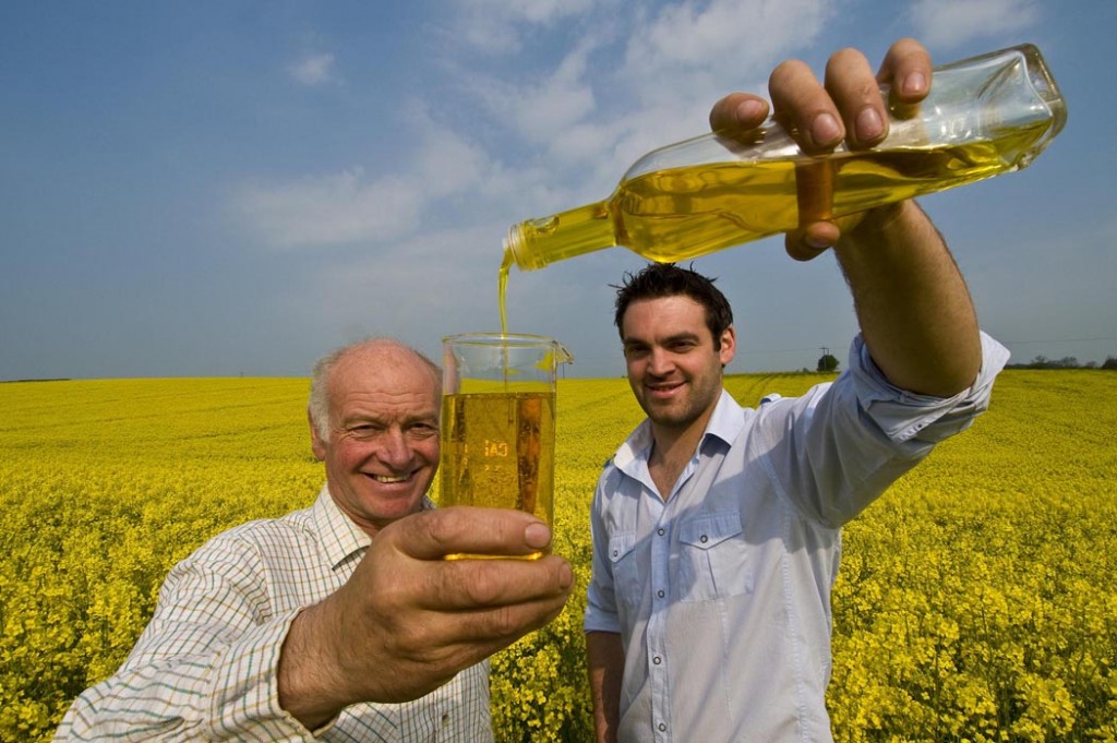 Yorkshire rapeseed oil
