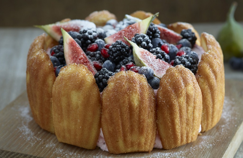 Madeleine Charlotte cake