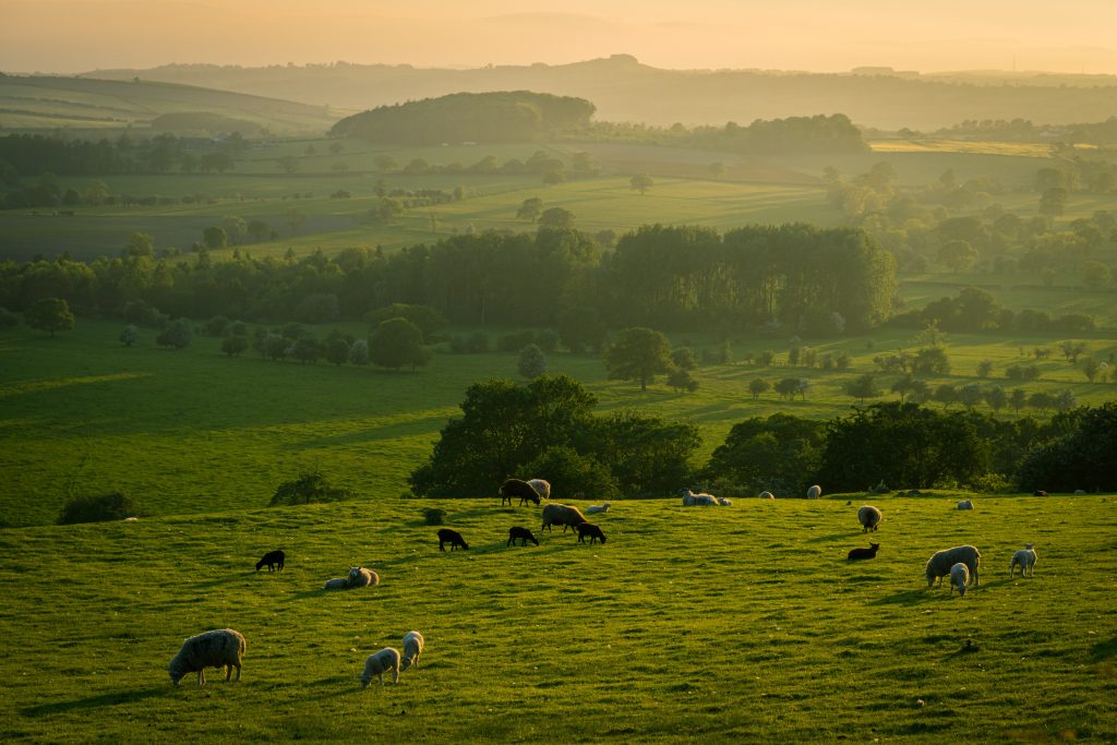 Yorkshire Landscape