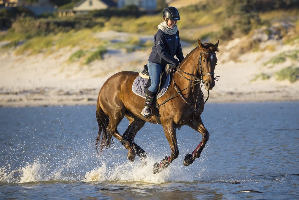 UK Horse Ride