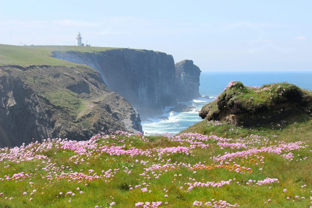 Unveiling Ireland's Enchanting Natural Wonders