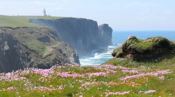 Unveiling Ireland's Enchanting Natural Wonders
