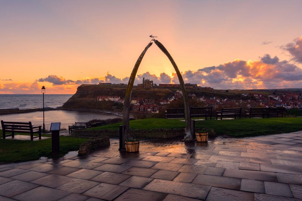 Whitby Harbour View
