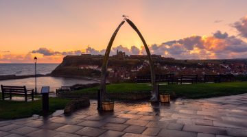 Whitby Harbour View