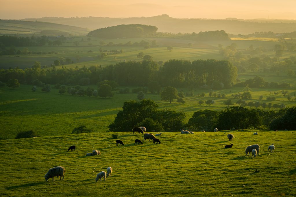 The Beauty of Yorkshire