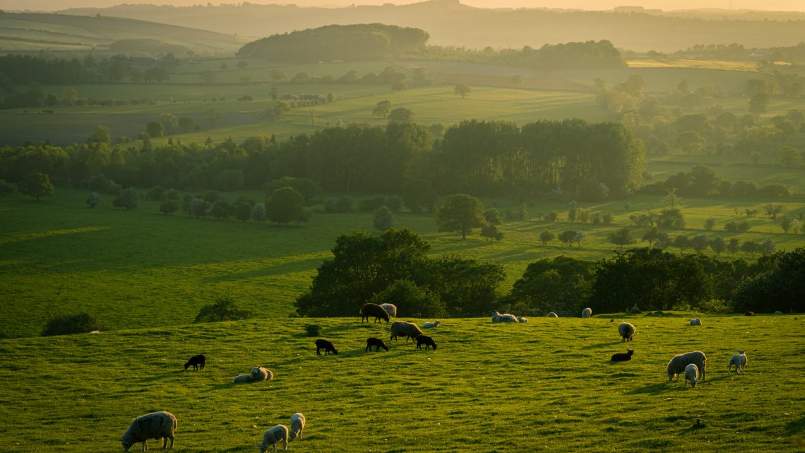 The Beauty of Yorkshire