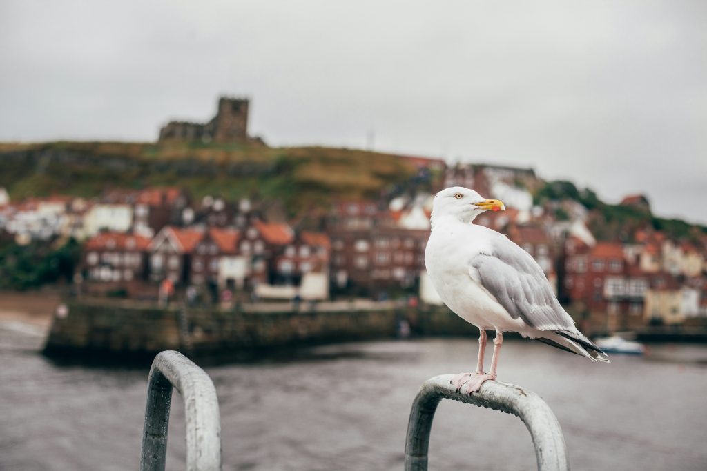The coastal town of Whitby