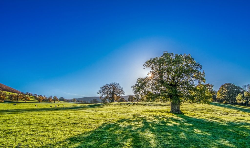 Yorkshire Landscape