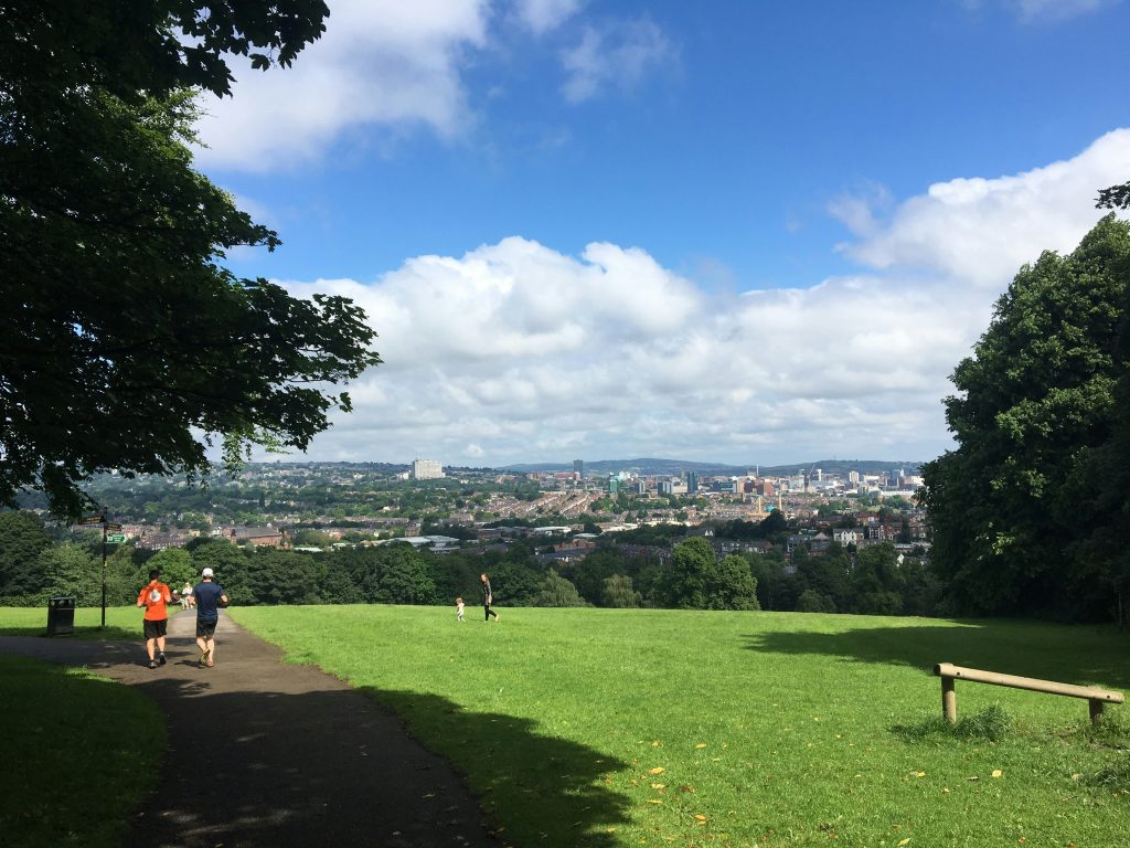 Sheffield Skyline