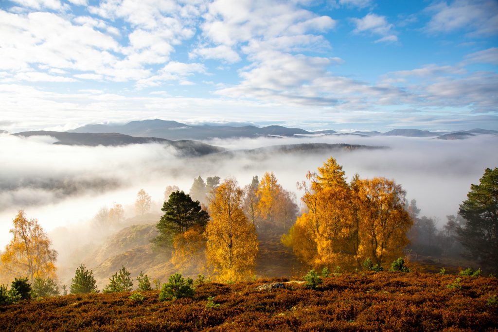 UK Autumn Weather