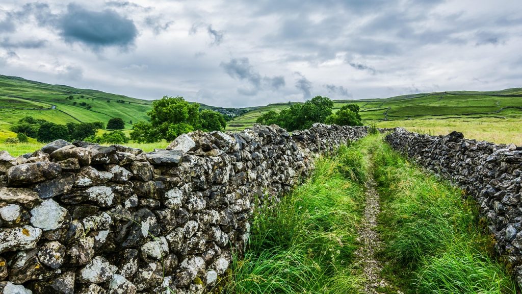A narrow stone path bordered by traditional dry stone walls, leading through the lush green hills of the Yorkshire Dales under a cloudy sky.