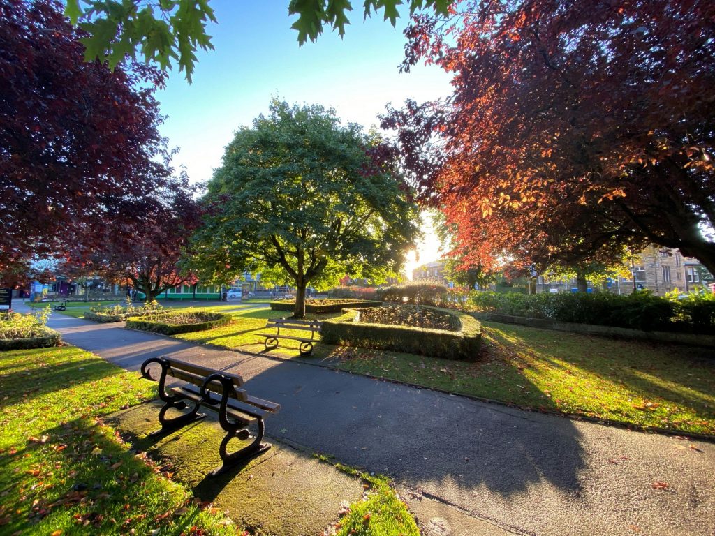 A peaceful park scene in Yorkshire with benches along a pathway, trees in autumn colours, and warm sunlight filtering through the leaves.