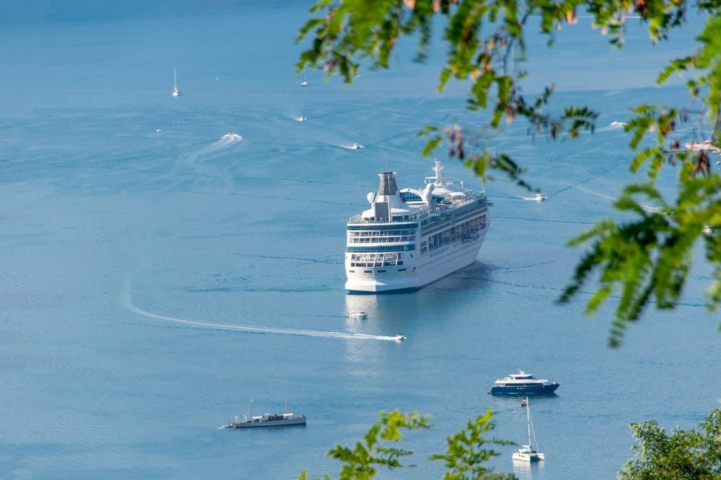 A large white cruise ship sailing through calm turquoise waters near smaller boats, framed by green leaves in the foreground, on a sunny day in the Canary Islands.