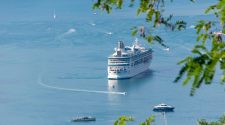 A large white cruise ship sailing through calm turquoise waters near smaller boats, framed by green leaves in the foreground, on a sunny day in the Canary Islands.