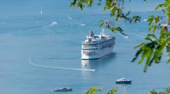 A large white cruise ship sailing through calm turquoise waters near smaller boats, framed by green leaves in the foreground, on a sunny day in the Canary Islands.