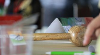 Wooden judge’s gavel resting on a desk beside legal documents, representing family law and court decisions related to parenting arrangements.