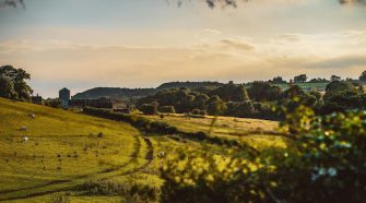 Golden Yorkshire countryside landscape with rolling hills, fields, sheep, and a sunset sky, highlighting the region’s rural tourism appeal.