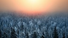 Snow-covered forest in Finnish Lapland beneath a glowing winter sky