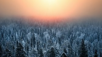 Snow-covered forest in Finnish Lapland beneath a glowing winter sky